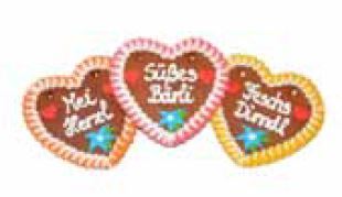 Wiesn Lebkuchenherzen Spruch bayrisch bunt ,20 Stück im Karton 